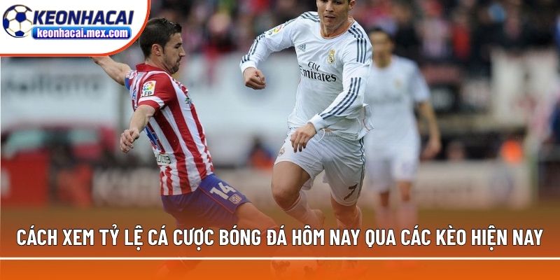 Cách xem tỷ lệ cá cược bóng đá hôm nay qua các kèo hiện nay