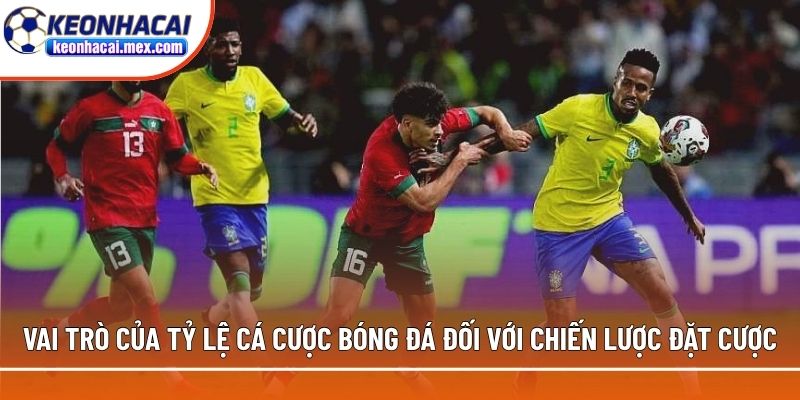 Vai trò của tỷ lệ cá cược bóng đá đối với chiến lược đặt cược