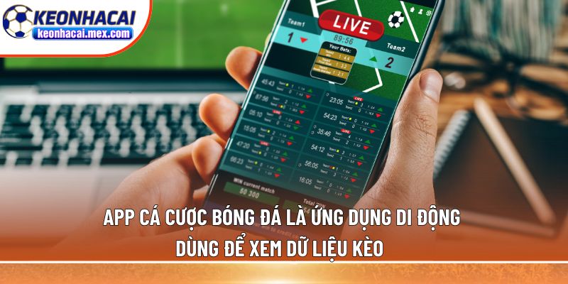 App cá cược bóng đá là ứng dụng di động dùng để xem dữ liệu kèo