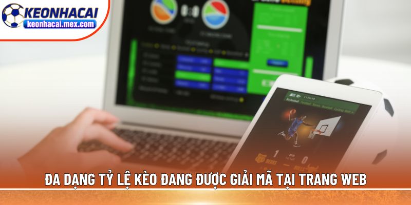 Đa dạng tỷ lệ kèo đang được giải mã tại trang web