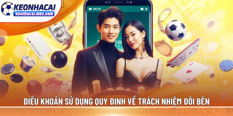 Điều khoản sử dụng quy định về trách nhiệm đôi bên