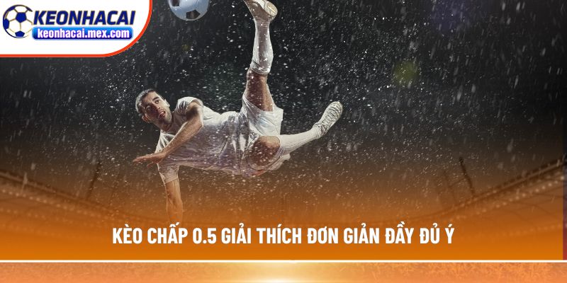 Kèo chấp 0.5 giải thích đơn giản đầy đủ ý