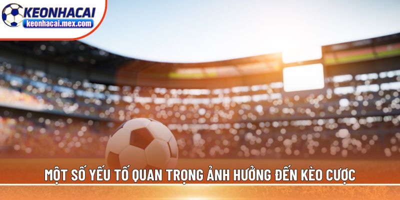 Một số yếu tố quan trọng ảnh hưởng đến kèo cược