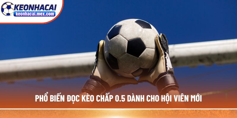 Phổ biến đọc kèo chấp 0.5 dành cho hội viên mới