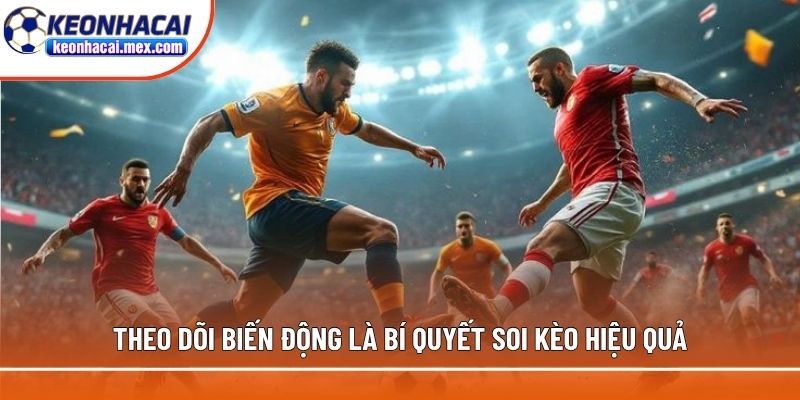 Theo dõi biến động là một bí quyết soi kèo hiệu quả